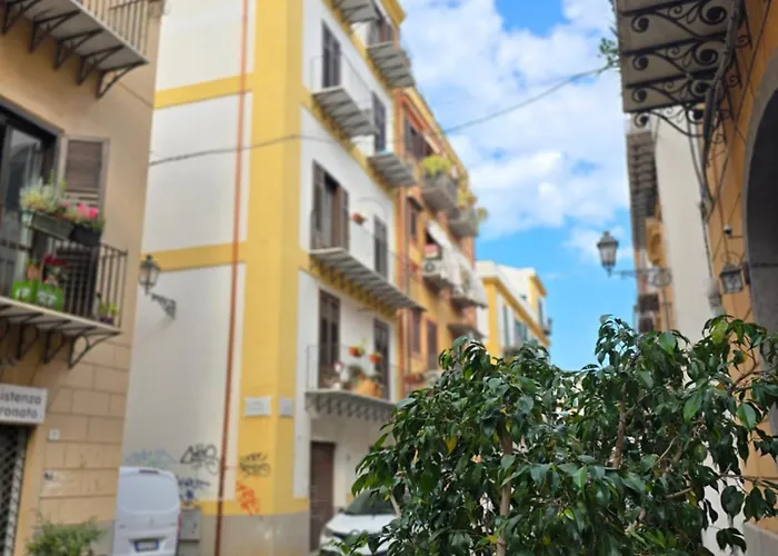 Guglie Del Centro Palermo